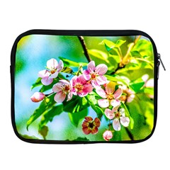 Crab Apple Flowers Apple Ipad 2/3/4 Zipper Cases by FunnyCow