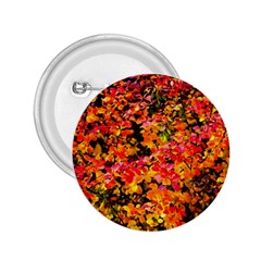 Orange, Yellow Cotoneaster Leaves In Autumn 2 25  Buttons by FunnyCow