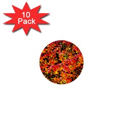 Orange, Yellow Cotoneaster Leaves In Autumn 1  Mini Buttons (10 Pack)  by FunnyCow