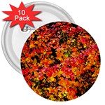 Orange, yellow cotoneaster leaves in autumn 3  Buttons (10 pack)  Front