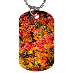 Orange, Yellow Cotoneaster Leaves In Autumn Dog Tag (one Side) by FunnyCow