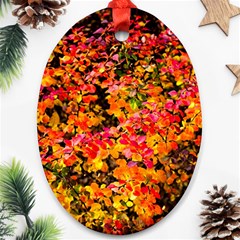 Orange, Yellow Cotoneaster Leaves In Autumn Oval Ornament (two Sides) by FunnyCow