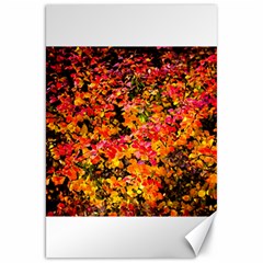 Orange, Yellow Cotoneaster Leaves In Autumn Canvas 20  X 30   by FunnyCow