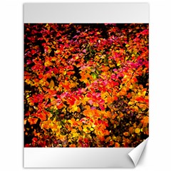 Orange, Yellow Cotoneaster Leaves In Autumn Canvas 36  X 48   by FunnyCow