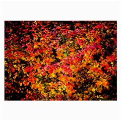 Orange, Yellow Cotoneaster Leaves In Autumn Large Glasses Cloth (2-side) by FunnyCow