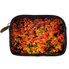 Orange, Yellow Cotoneaster Leaves In Autumn Digital Camera Cases by FunnyCow