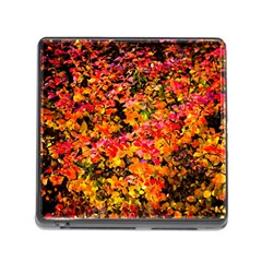 Orange, Yellow Cotoneaster Leaves In Autumn Memory Card Reader (square 5 Slot) by FunnyCow