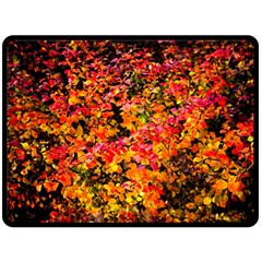 Orange, Yellow Cotoneaster Leaves In Autumn Fleece Blanket (large)  by FunnyCow