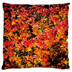 Orange, Yellow Cotoneaster Leaves In Autumn Large Cushion Case (one Side) by FunnyCow