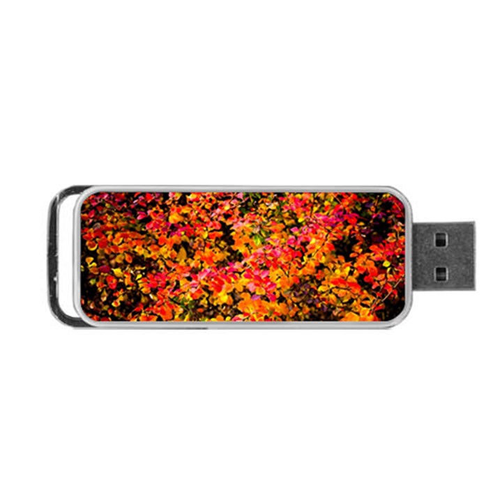 Orange, yellow cotoneaster leaves in autumn Portable USB Flash (Two Sides)