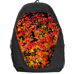 Orange, Yellow Cotoneaster Leaves In Autumn Backpack Bag by FunnyCow