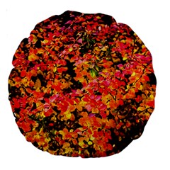 Orange, Yellow Cotoneaster Leaves In Autumn Large 18  Premium Round Cushions by FunnyCow