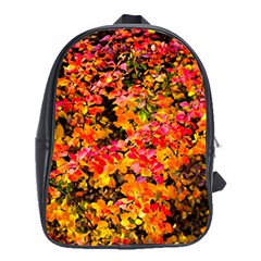 Orange, Yellow Cotoneaster Leaves In Autumn School Bag (xl) by FunnyCow