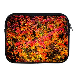 Orange, Yellow Cotoneaster Leaves In Autumn Apple Ipad 2/3/4 Zipper Cases by FunnyCow