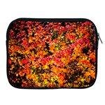 Orange, yellow cotoneaster leaves in autumn Apple iPad 2/3/4 Zipper Cases Front