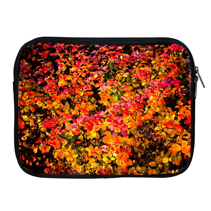 Orange, yellow cotoneaster leaves in autumn Apple iPad 2/3/4 Zipper Cases