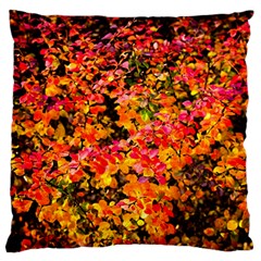 Orange, Yellow Cotoneaster Leaves In Autumn Large Flano Cushion Case (one Side) by FunnyCow