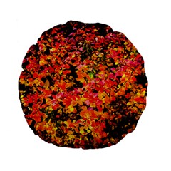 Orange, Yellow Cotoneaster Leaves In Autumn Standard 15  Premium Flano Round Cushions by FunnyCow