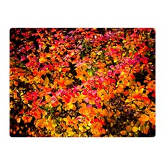 Orange, Yellow Cotoneaster Leaves In Autumn Double Sided Flano Blanket (mini)  by FunnyCow