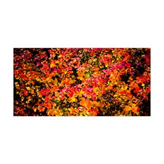 Orange, Yellow Cotoneaster Leaves In Autumn Yoga Headband by FunnyCow