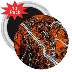 Red Night Of Winter 3  Magnets (10 Pack)  by FunnyCow