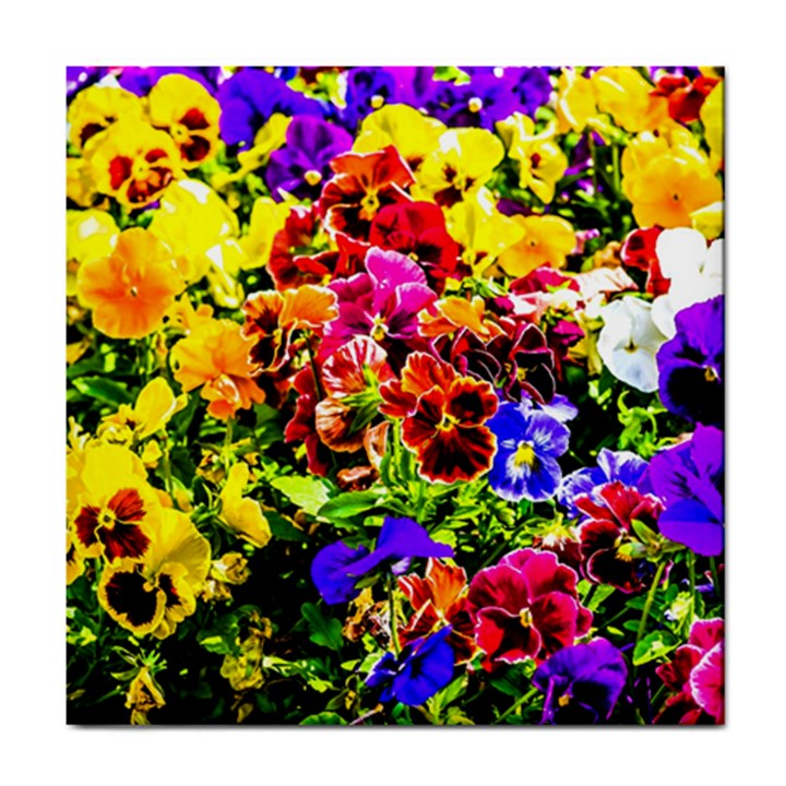 Viola Tricolor Flowers Tile Coasters