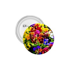 Viola Tricolor Flowers 1 75  Buttons by FunnyCow