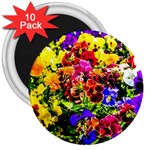 Viola Tricolor Flowers 3  Magnets (10 pack)  Front