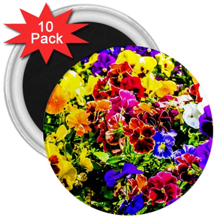 Viola Tricolor Flowers 3  Magnets (10 pack) 