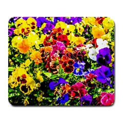 Viola Tricolor Flowers Large Mousepads by FunnyCow