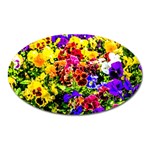 Viola Tricolor Flowers Oval Magnet Front