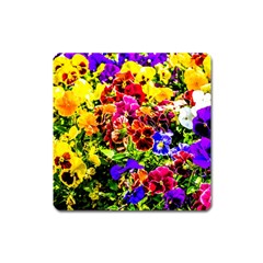 Viola Tricolor Flowers Square Magnet by FunnyCow