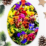 Viola Tricolor Flowers Oval Ornament (Two Sides) Front