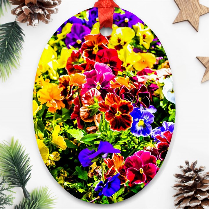 Viola Tricolor Flowers Oval Ornament (Two Sides)