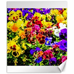 Viola Tricolor Flowers Canvas 8  X 10  by FunnyCow