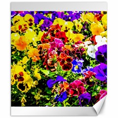 Viola Tricolor Flowers Canvas 20  X 24   by FunnyCow