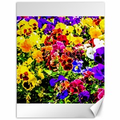 Viola Tricolor Flowers Canvas 36  X 48   by FunnyCow