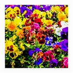 Viola Tricolor Flowers Medium Glasses Cloth Front