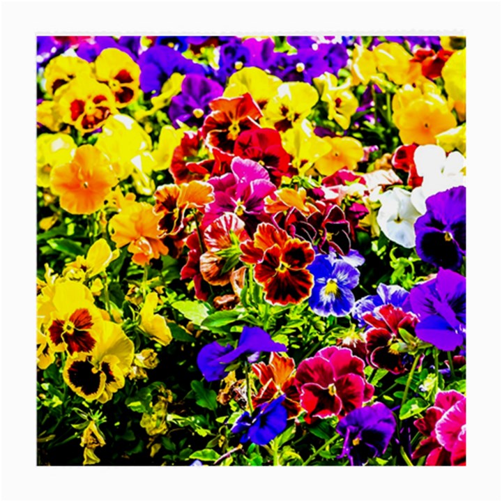 Viola Tricolor Flowers Medium Glasses Cloth