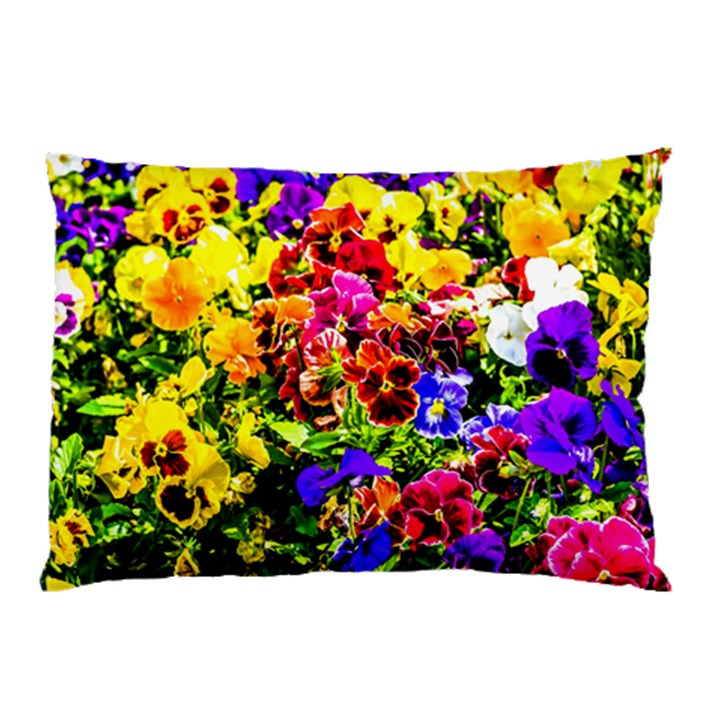 Viola Tricolor Flowers Pillow Case