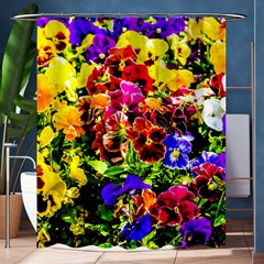 Viola Tricolor Flowers Shower Curtain 60  X 72  (medium)  by FunnyCow