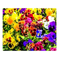 Viola Tricolor Flowers Double Sided Flano Blanket (large)  by FunnyCow