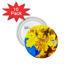 Yellow Maple Leaves 1 75  Buttons (10 Pack) by FunnyCow