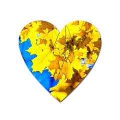 Yellow Maple Leaves Heart Magnet by FunnyCow