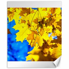 Yellow Maple Leaves Canvas 16  X 20   by FunnyCow