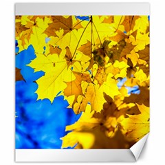 Yellow Maple Leaves Canvas 20  X 24   by FunnyCow