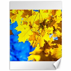 Yellow Maple Leaves Canvas 36  X 48   by FunnyCow