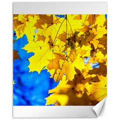 Yellow Maple Leaves Canvas 11  X 14   by FunnyCow