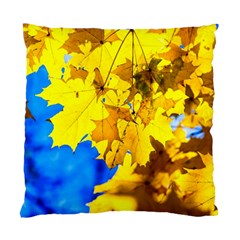 Yellow Maple Leaves Standard Cushion Case (one Side) by FunnyCow