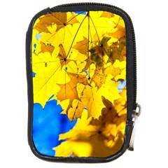 Yellow Maple Leaves Compact Camera Cases by FunnyCow